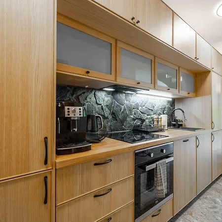 Apartment Solisko 3 Modrzewiowy Z Widokiem Na Gory - Dream Szczyrk